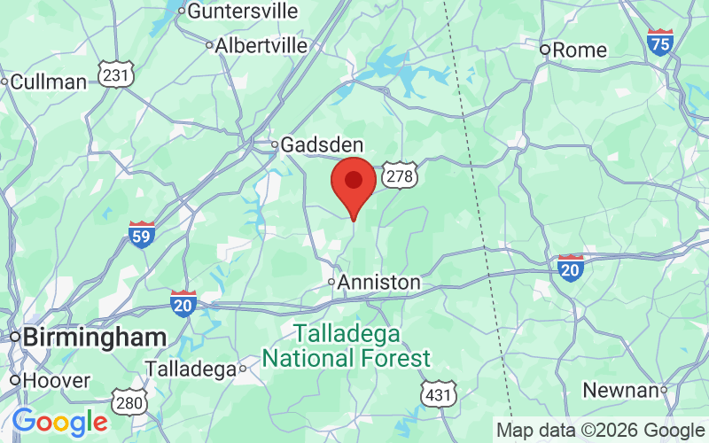 256600 Phone Numbers YouMail